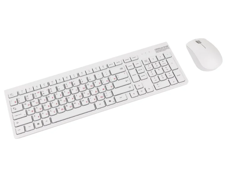 Моноблок Lenovo A100 F0JN001DRU серый