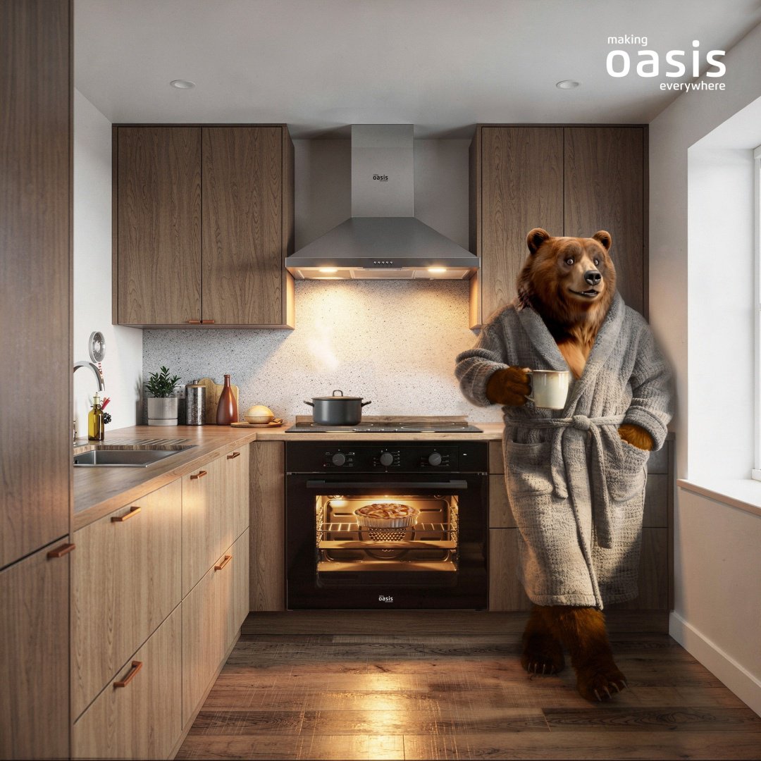 Духовой шкаф Oasis D-MNB черный