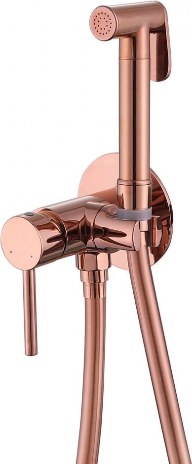 Abber гигиенический душ Wasser Kreis AF8125RG купить,143600