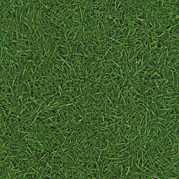 IVC Vision T25 Grass, ширина 3 м купить,NaN