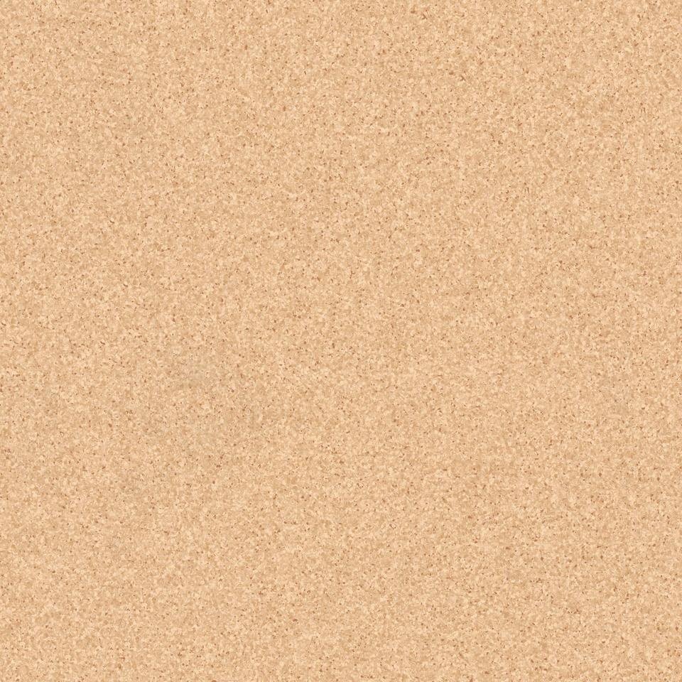 Линолеум Tarkett Prima Plus 304, ширина 2 м купить,NaN