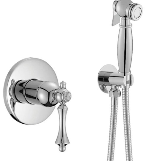 Rose гигиенический душ R0105 купить,NaN