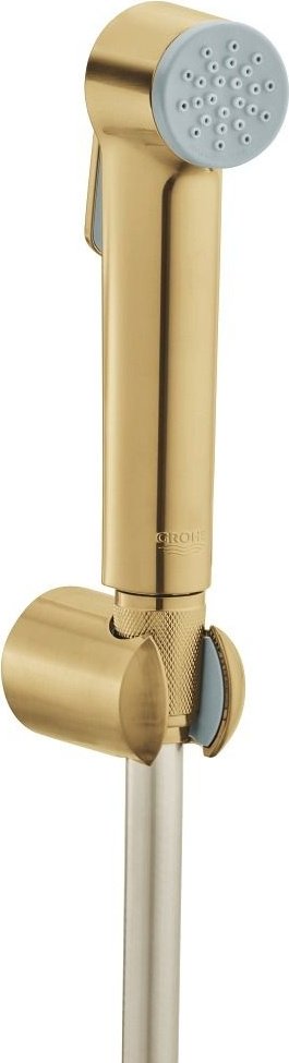 Grohe гигиенический душ 27513GN1