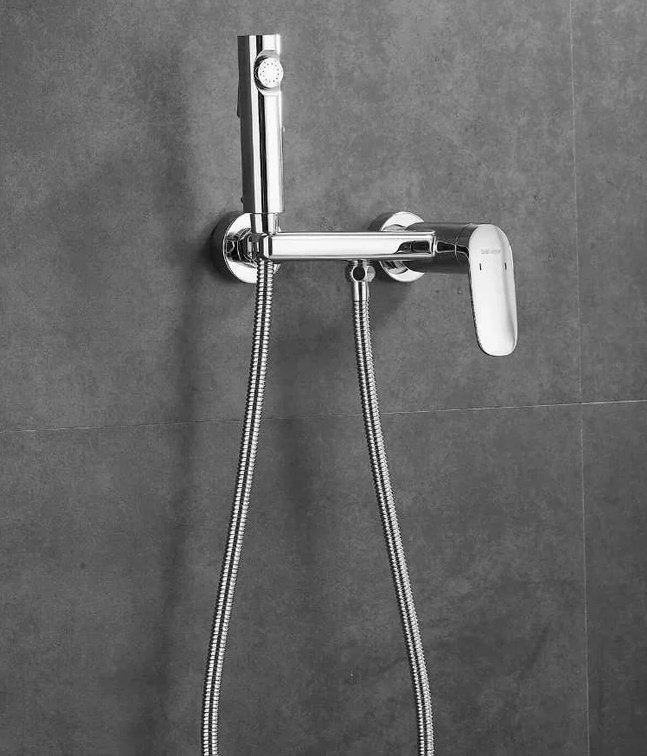 Shevanik гигиенический душ S8505-1, латунь купить,NaN