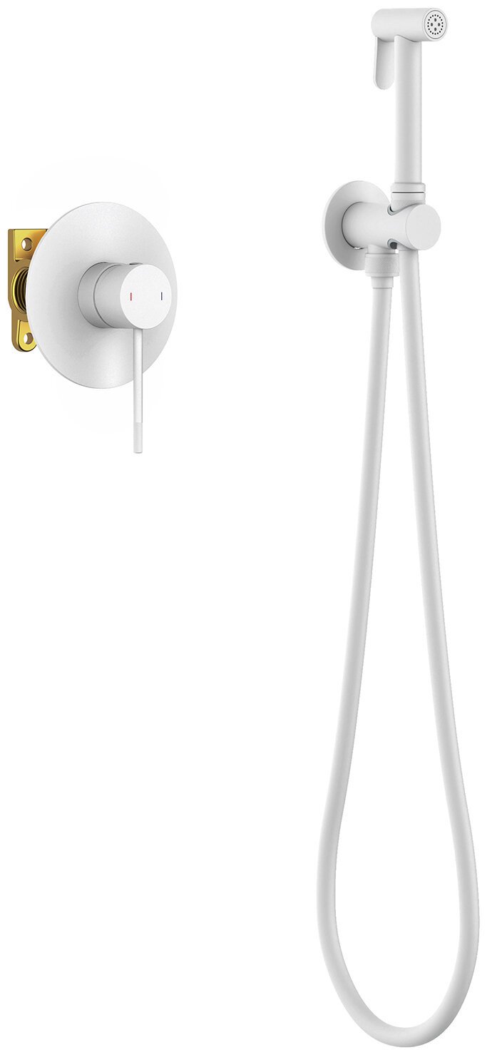 Timo гигиенический душ Saona 2389/16SM купить,NaN