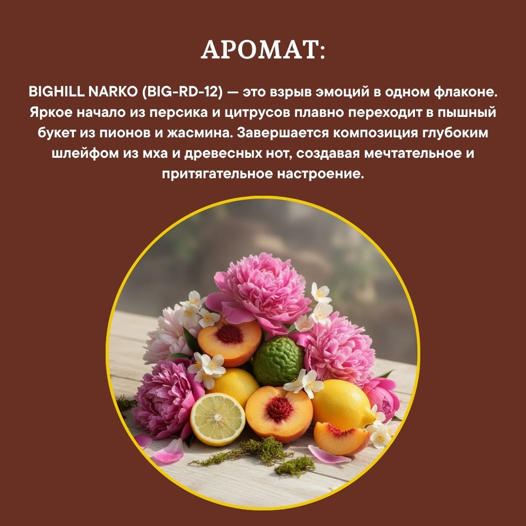 Диффузор Eyfel Bighill Narco BIG-RD-12 120 мл купить,NaN