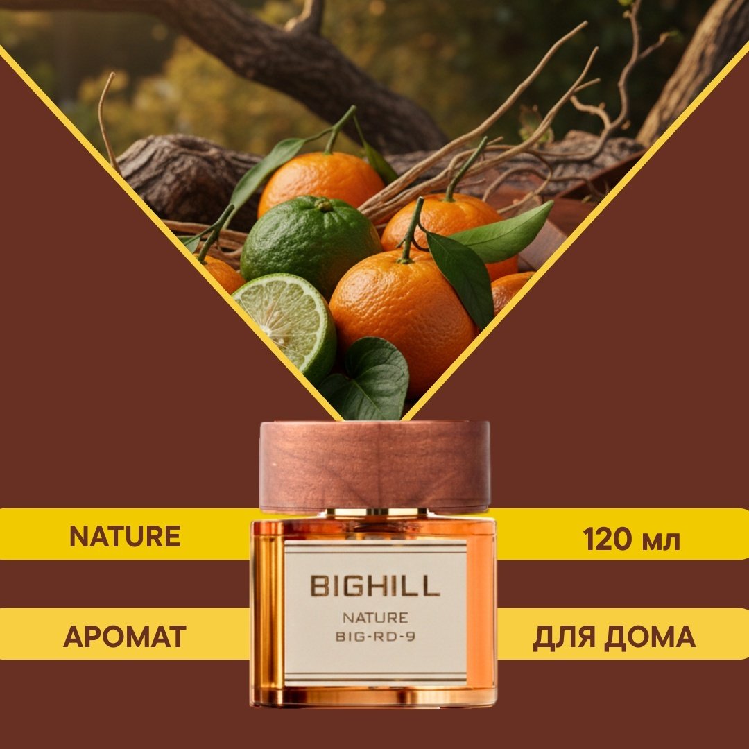 Диффузор Eyfel Bighill Nature BIG-RD-9 120 мл