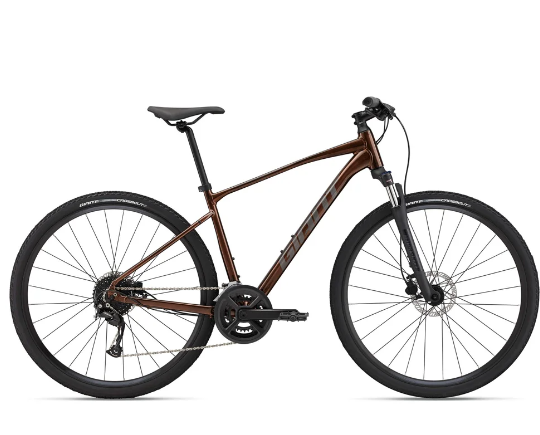 Велосипед Giant Roam 2 Disc 700 XL-28 2022 22021042 темно-коричневый купить,NaN