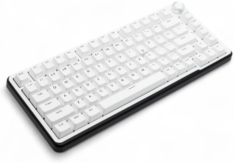 Клавиатура EWEADN GS75 White - ForteMarket Клавиатура EWEADN GS75 White купить,0