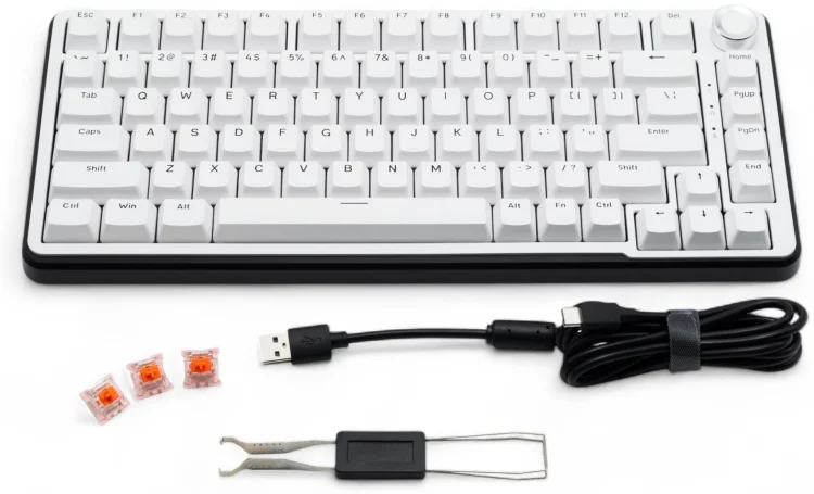 Клавиатура EWEADN GS75 White - ForteMarket Клавиатура EWEADN GS75 White купить,0