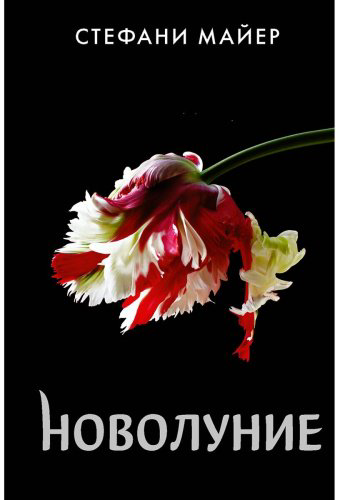 Книга Майер С.: Новолуние (новое оформление) купить,NaN