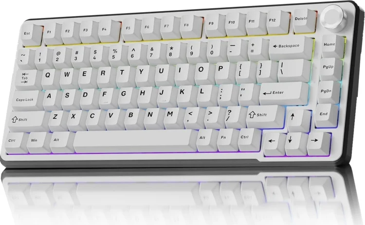Клавиатура EWEADN GS75 White
