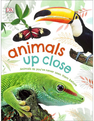 Книга Animals Up Close купить,NaN