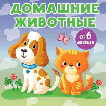 Книга Игнатова А. С.: Домашние животные купить,NaN