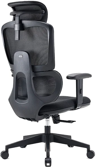 Компьютерное кресло SIHOO M105C-101 Black купить,0