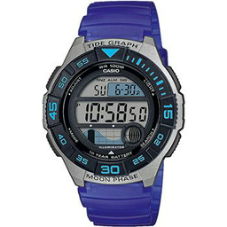 Часы Casio WS-1100H-2AVEF