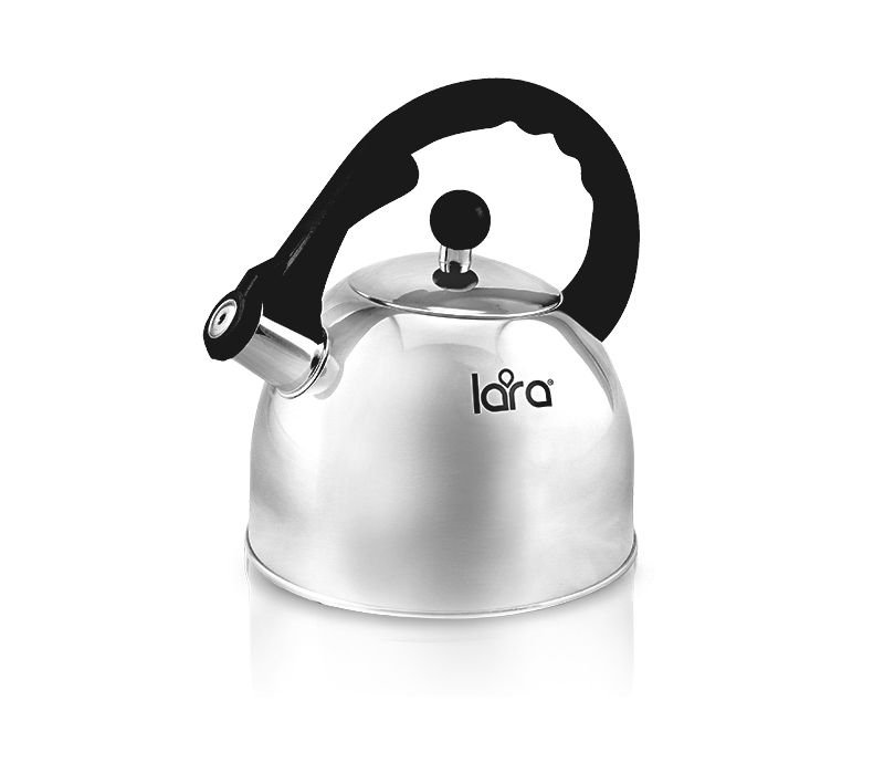 Чайник Lara LR00-05 серебристый