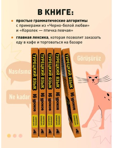 Пособие Петров Д. Ю.: Турецкий язык. 16 уроков. Базовый курс купить,NaN