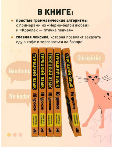 Пособие Петров Д. Ю.: Турецкий язык. 16 уроков. Базовый курс купить,NaN