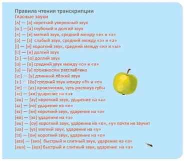 Пособие Без автора: Тренажер - перевертыш. Мои первые английские слова купить,NaN