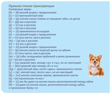 Пособие Без автора: Тренажер - перевертыш. Мои первые английские слова купить,NaN