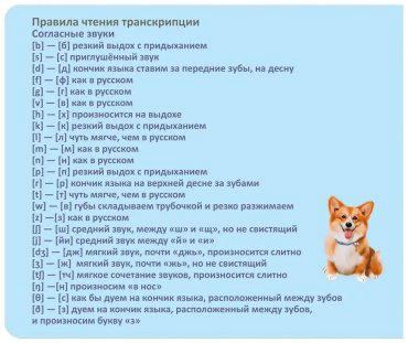 Пособие Без автора: Тренажер - перевертыш. Мои первые английские слова купить,NaN