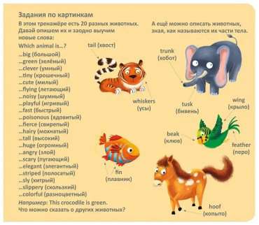 Пособие Без автора: Тренажер - перевертыш. Английский язык купить,NaN