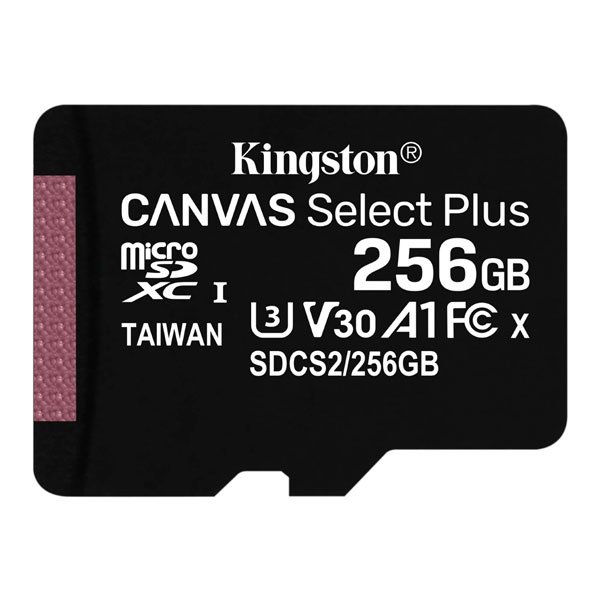 Карта памяти Kingston SDCS2/BSP 256Gb