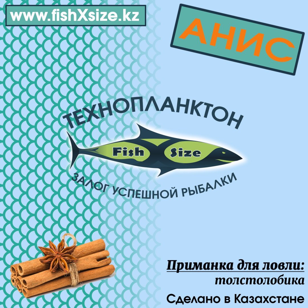 Прикормка FishXsize tehno13 анис 0.45 кг