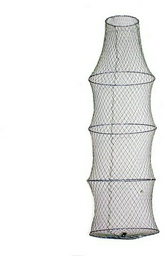 Salmo садок 9981-05
