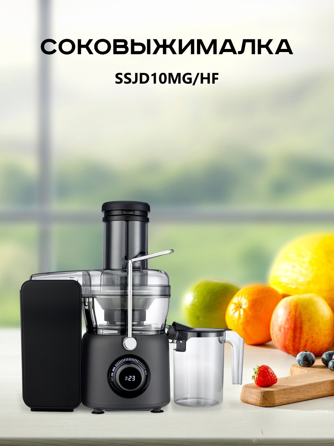 Соковыжималка Hofmann SSJD10MGHF серый купить,NaN