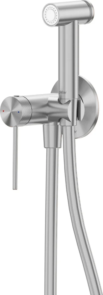Гигиенический душ Abber Emotion 316 AF8825BST брашированная сталь купить,NaN