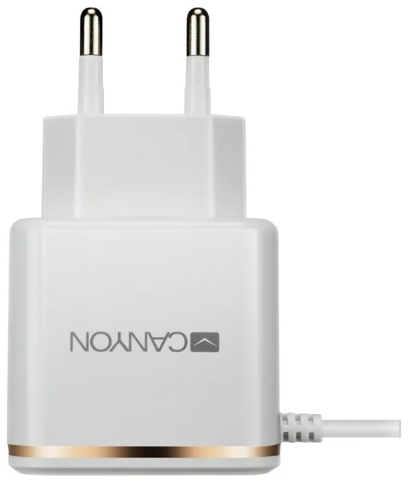Зарядное устройство Canyon CNE-CHA043WR белый