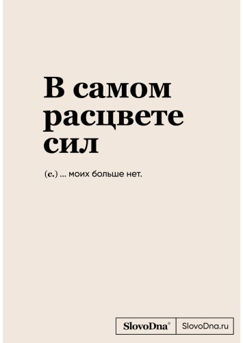 Книга Караваев К.: Блокнот SlovoDna. В самом расцвете сил купить,NaN