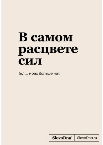 Книга Караваев К.: Блокнот SlovoDna. В самом расцвете сил купить,NaN