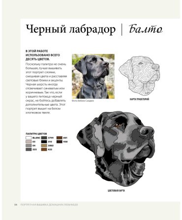 Книга Стауб М.: Так и хочется погладить! Вышиваем портрет по фотографии купить,NaN