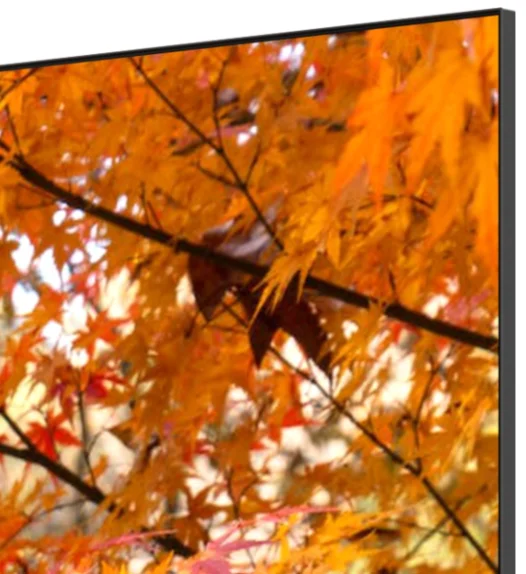 Телевизор Yasin 32" 32UD81 LED HD Black