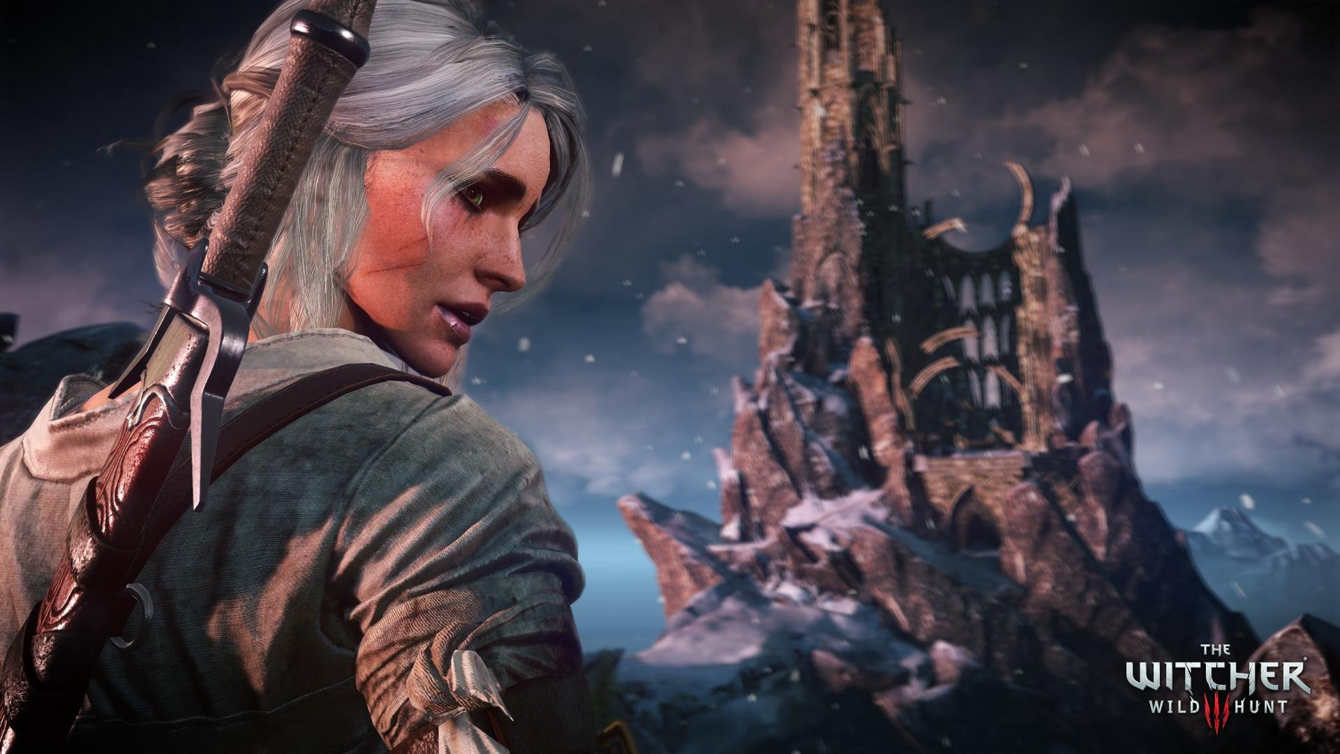 Видеоигра The Witcher 3: Wild Hunt PS4 ENG купить,15990