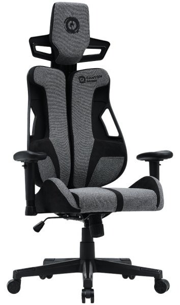 Игровое кресло Canyon CNS-ABCH01GYB, серый - ForteMarket Игровое кресло Canyon CNS-ABCH01GYB, серый купить,0