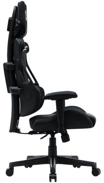 Игровое кресло Canyon CNS-ABCH01BW, черный - ForteMarket Игровое кресло Canyon CNS-ABCH01BW, черный купить,0