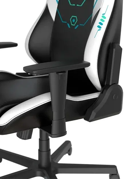 Игровое кресло DXRacer Drifting Sit Better Game Longer GC/LDC23LTA Black White купить,NaN