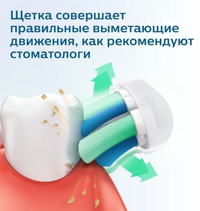 Электрическая щетка Philips звуковая Sonicare 2100 Series HX3651/12 щетина средняя купить,0