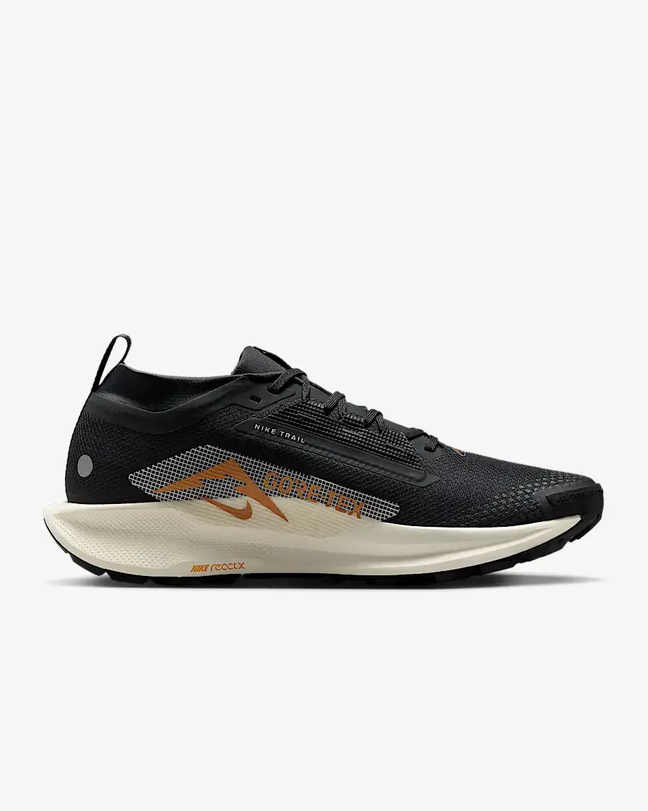Кроссовки Nike Pegasus Trail 5 Gore-Tex FQ0908-007 black 43.5