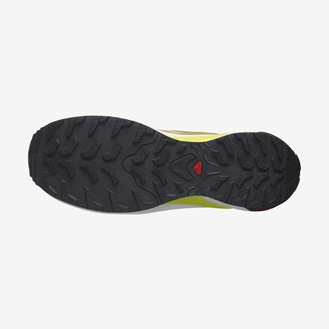 Кроссовки Salomon X-Adventure золотистый купить,NaN