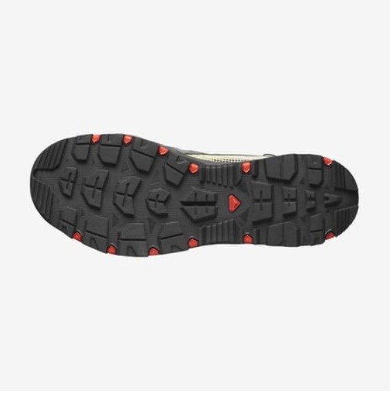Salomon L47114900 серый - ForteMarket Salomon L47114900 серый купить,0