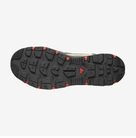 Salomon L47114900 серый купить,NaN