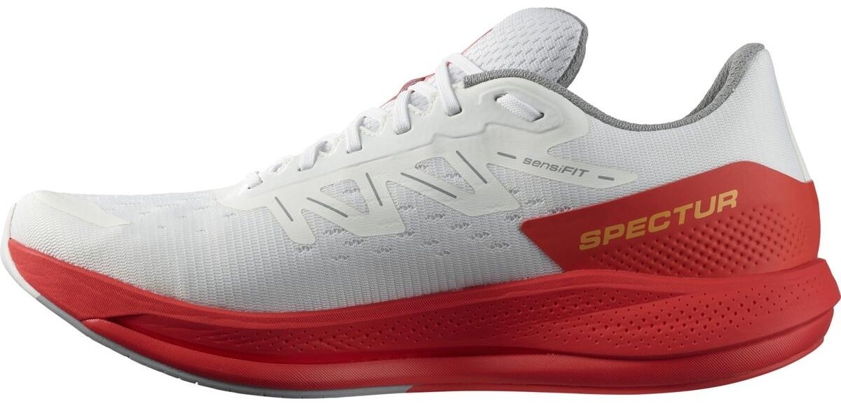Кроссовки Salomon SPECTUR белый купить,0