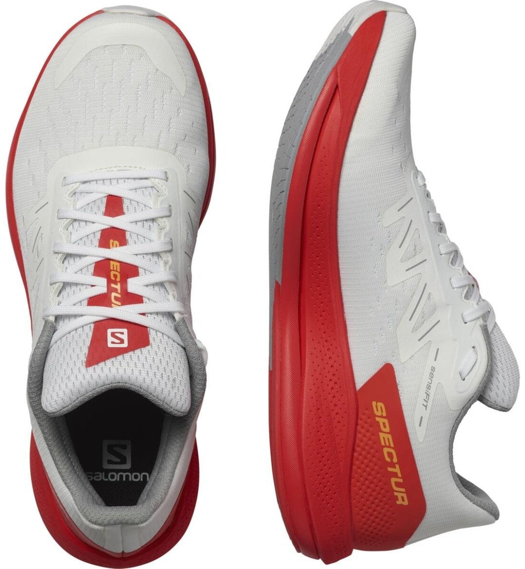 Кроссовки Salomon SPECTUR белый купить,0