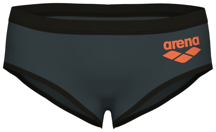 Плавки ARENA серый