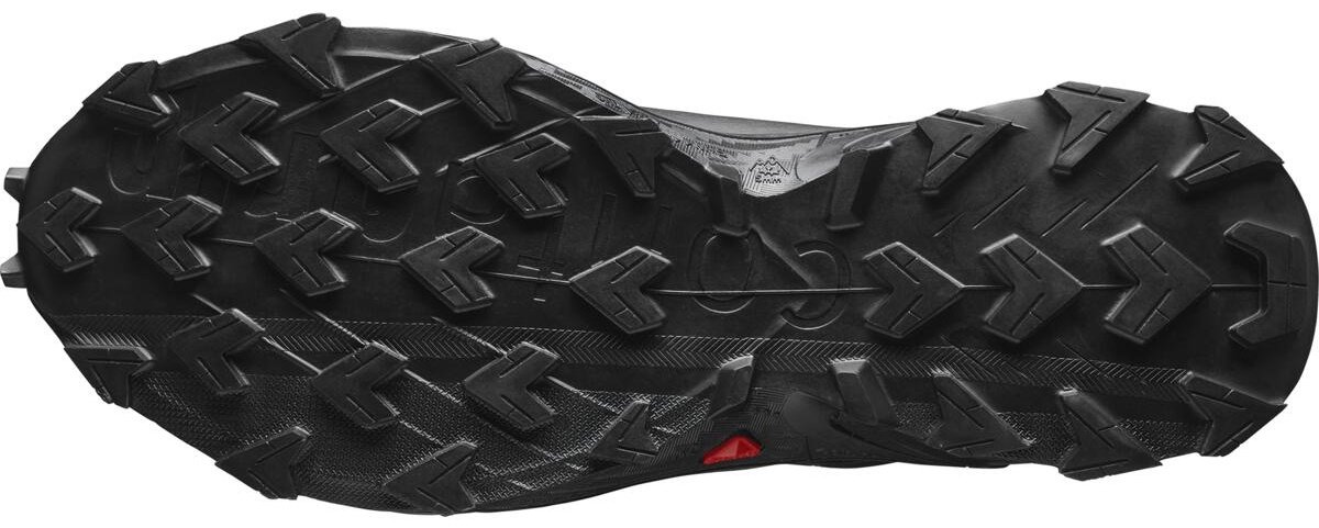 Треккинговые кроссовки Salomon черный - ForteMarket Треккинговые кроссовки Salomon черный купить,0